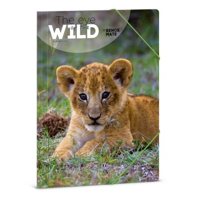 Ars Una Máté Bence The Eyes of the Wild - Lion A/4 gumis dosszié