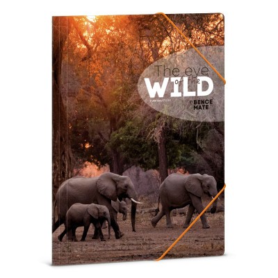 Ars Una Máté Bence The Eyes of the Wild - Elephant A/4 gumis dosszié