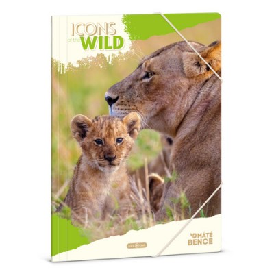 Ars Una Máté Bence Icons of the Wild-Lions A/4 gumis dosszié