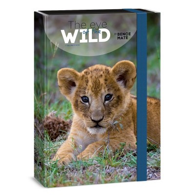 Ars Una Máté Bence The Eyes of the Wild - Lion A/4 füzetbox