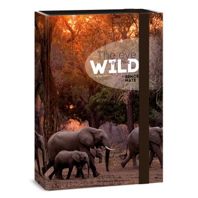 Ars Una Máté Bence The Eyes of the Wild - Elephant A/4 füzetbox