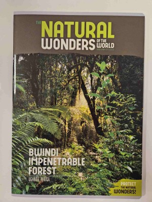 Ars Una Natural Wonders A/4 extra kapcsos füzet-négyzethálós - Bwindi Impenetrable Forest