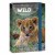 Ars Una Máté Bence The Eyes of the Wild - Lion A/4 füzetbox