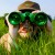 Kétcsövű zöld gyerektávcső - Special 40 Green Binocular with Case
